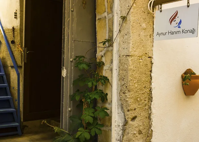 Woodstock 2* Alaçatı